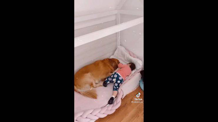 mamma riprende cane bambina