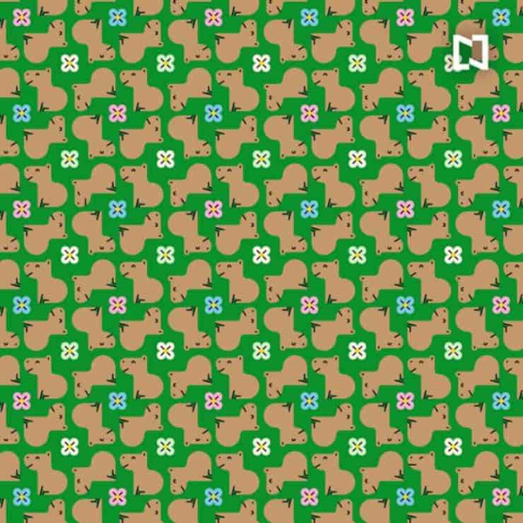 Il test visivo dei capibara : riesci a trovare i due differenti da tutti gli altri ?