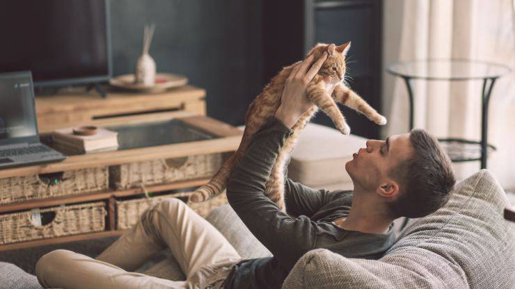 Il gatto fa la pipì addosso al padrone