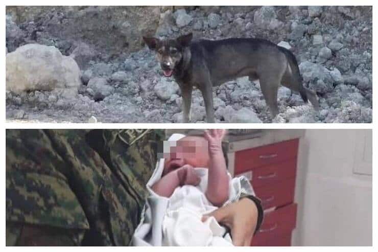 Blacky e il neonato che ha tratto in salvo (Screen Instagram)