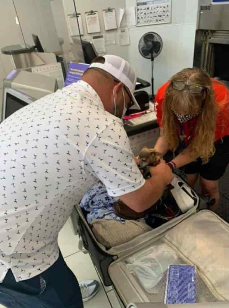 I genitori umani controllano che il cagnolino stia bene (Screen Facebook)