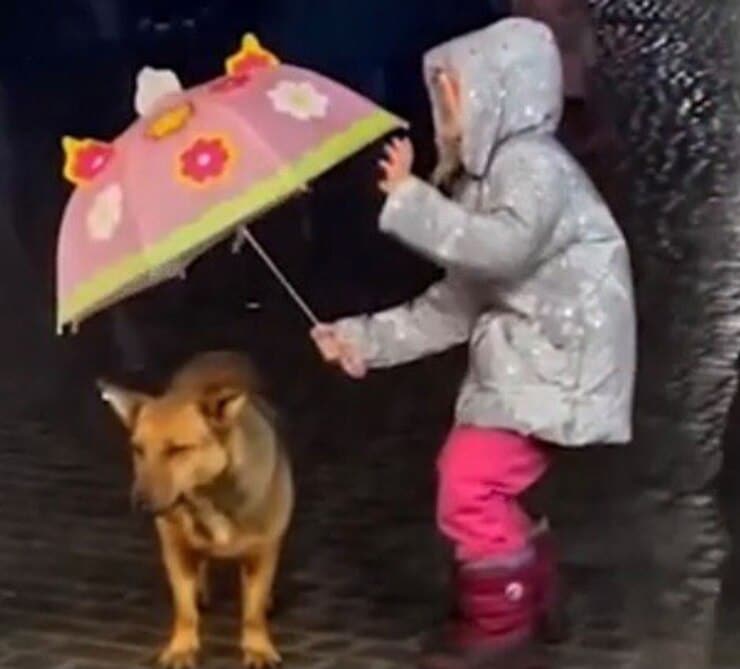 La bimba e il cucciolo sotto la pioggia (Screen video)