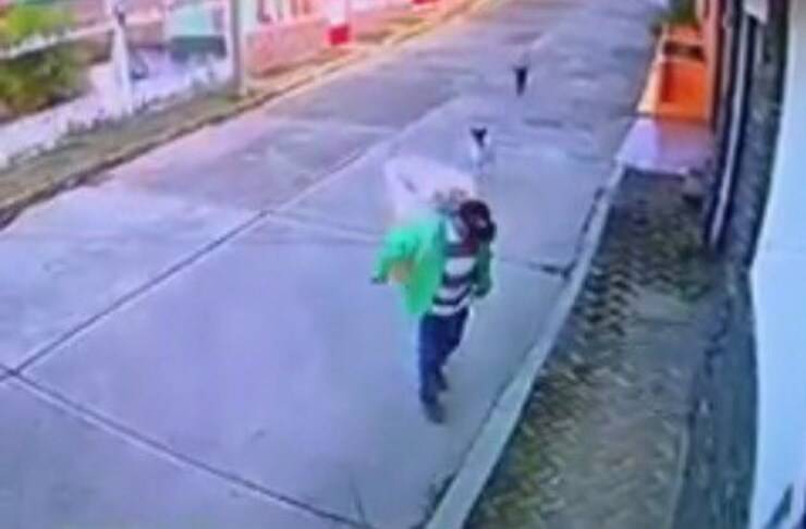 L'uomo da del cibo ai cuccioli che lo seguono (Screen video)