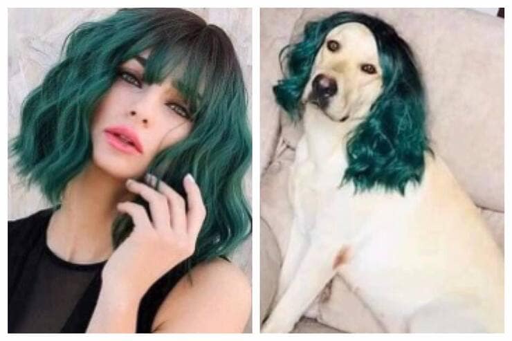 Parrucca indossata dalla modella e dal cucciolone (Screen Facebook)