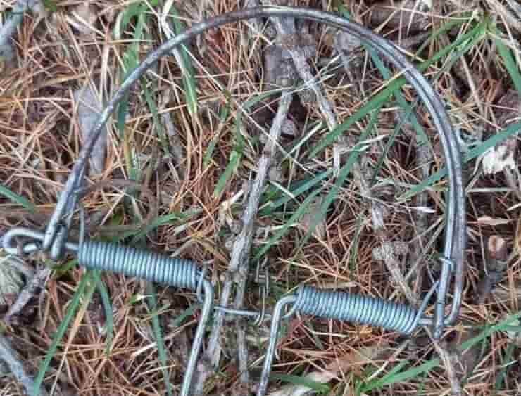 Tagliola di metallo (Screen Facebook)