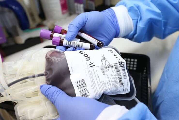 Donazioni di sangue (Foto Pixabay)