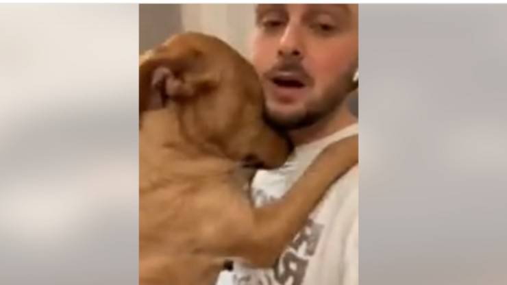 Il dolcissimo abbraccio (Foto video)