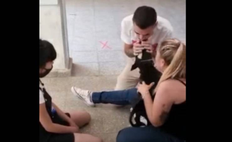 La gioia del cane (Foto video)
