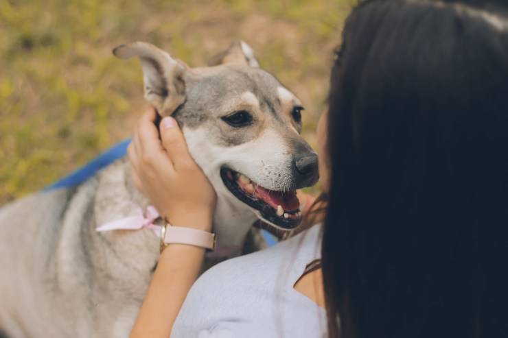 Esemplari canini ideali come primo cane