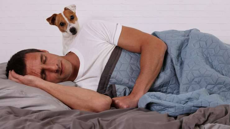 perché il cane guarda quando dormo
