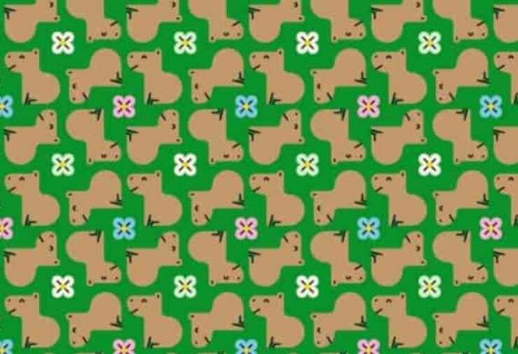 Il test visivo dei capibara : riesci a trovare i due differenti da tutti gli altri ?