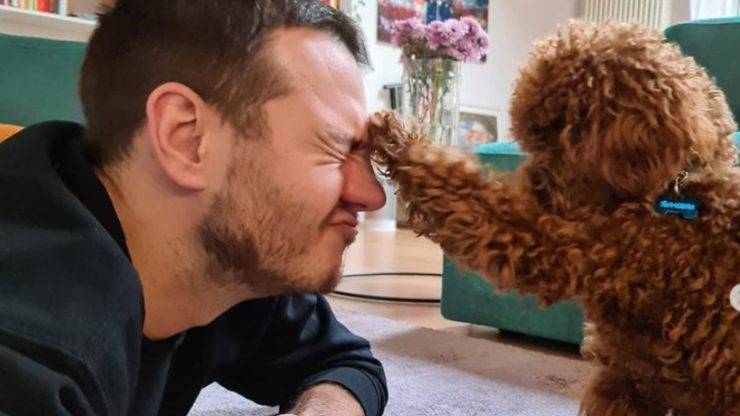 Tutte le curiosità su Marino Bartoletti, il cane di Alessandro Cattelan Alessandro Cattelan: chi è il cane Marino Bartoletti