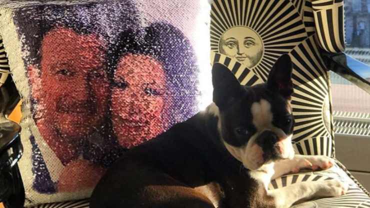 Chi è Kira, il cane di Amadeus Amadeus: chi è il cane Kira