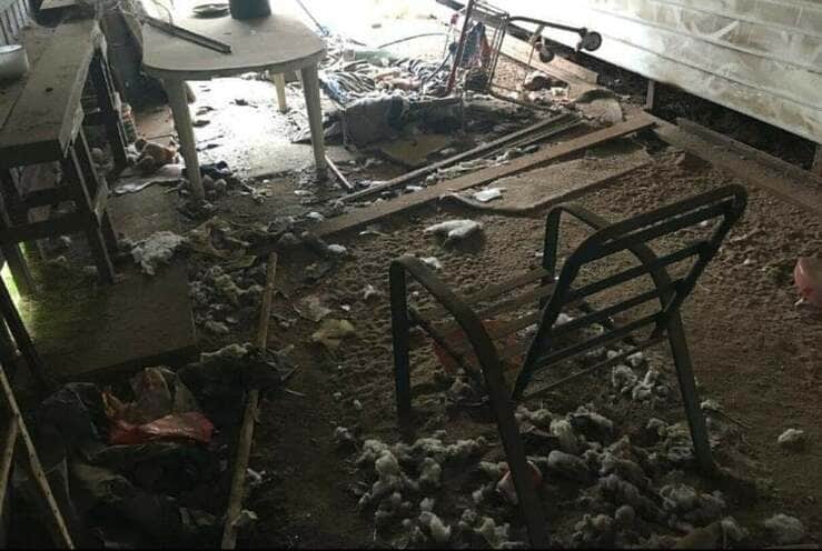 Donna abbandona il cane in un cortile per andare in vacanza (Foto Facebook)