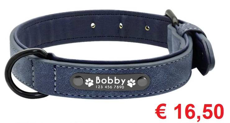 collare personalizzato cane
