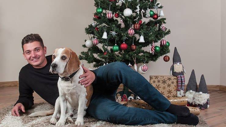 Regalo per cane