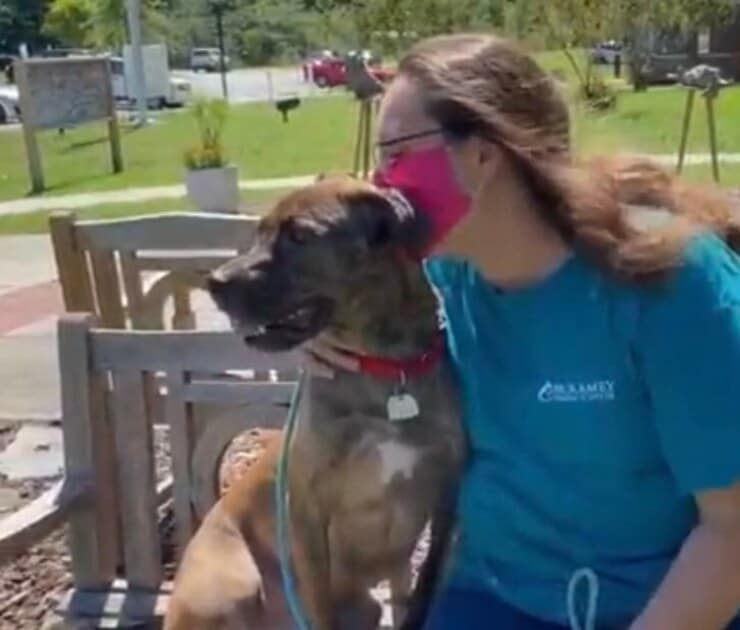 Big Mac insieme alla sua mamma umana (Screen video)