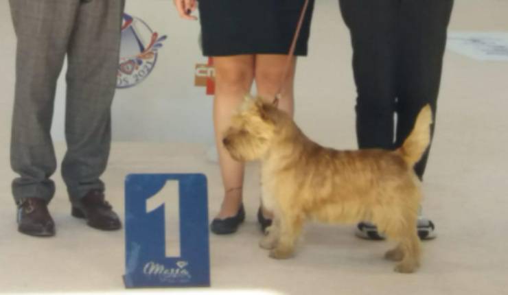 Glen durante la premiazione