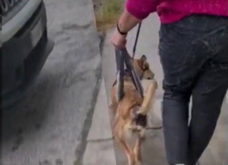 Hope aiutata per fare una passeggiata (Screen video)