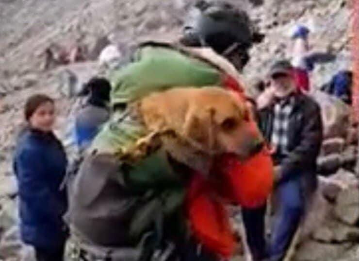 Il salvataggio di Canelo (Screen video)