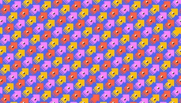 Il test visivo dei calamari solo il 3% riesce a vedere quelli diversi