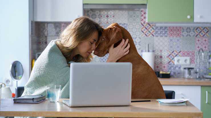 cane capisce se sei depresso