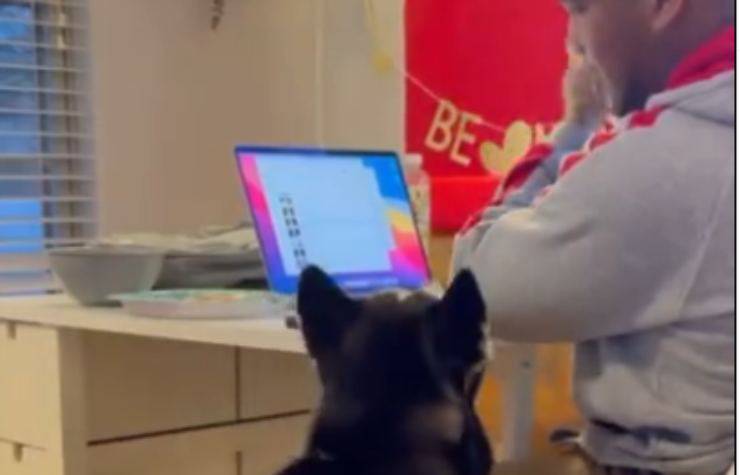 cane e padrone (Foto Instagram)