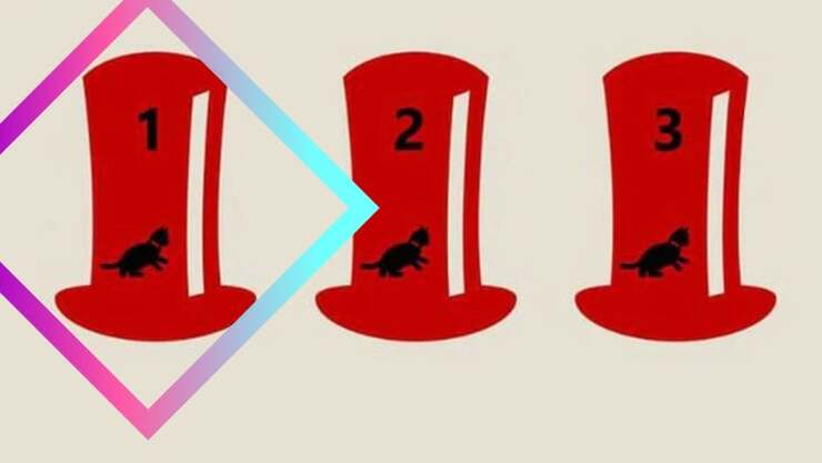 Test di logica: riuscite a capire in quale cappello si trova realmente il gatto?