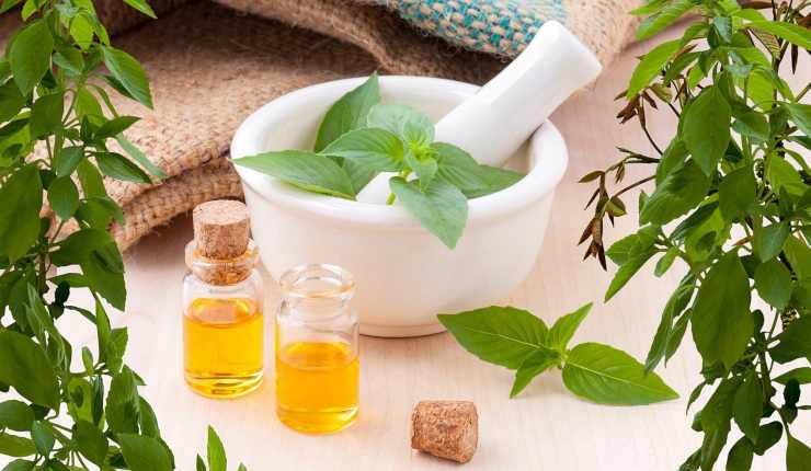 Olio di tea tree per gatti