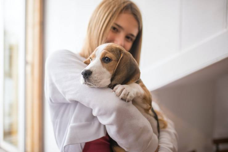Le convulsioni di fido