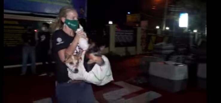 Cani salvati dalla macellazione: rinchiusi in sacchi con il muso legato (Screen Video)