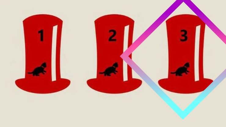 Test di logica: riuscite a capire in quale cappello si trova realmente il gatto?
