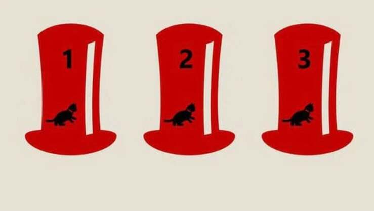 Test di logica: riuscite a capire in quale cappello si trova realmente il gatto?