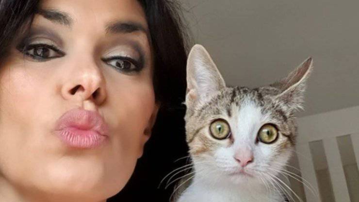 Maria Grazia Cucinotta: chi sono i suoi gatti