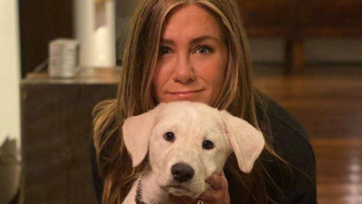 Chi sono i cani di Jennifer Aniston Jennifer Aniston cani