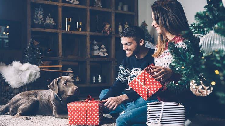 famiglia natale cane