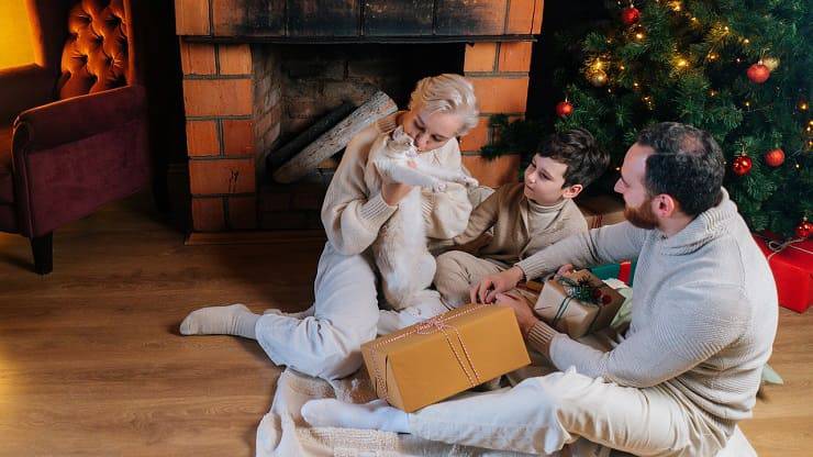 famiglia gatto natale
