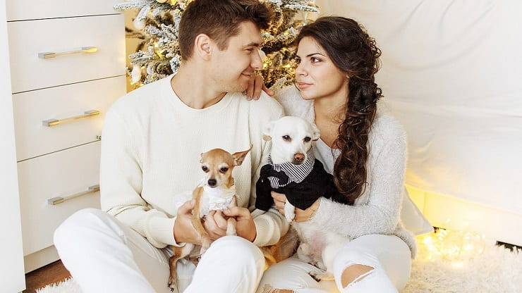 Regali amanti cani
