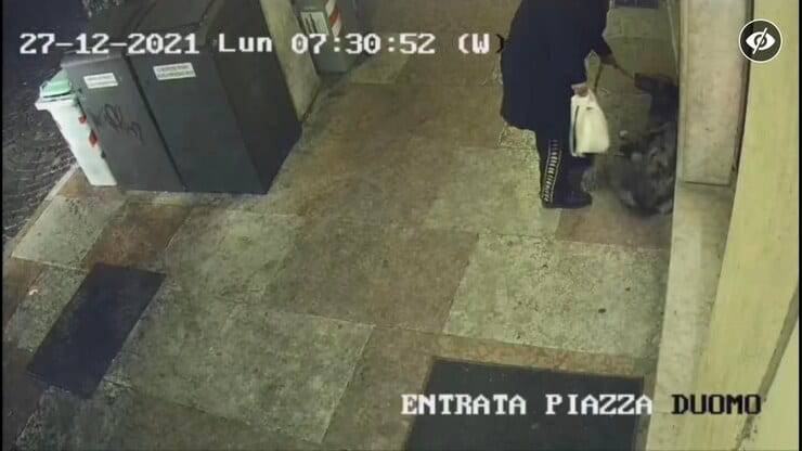 Cagnolina spaventata cerca di accucciarsi a terra (Screen video)