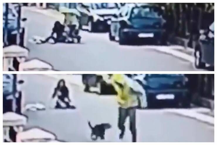 Cucciolo supereroe (Screen video)