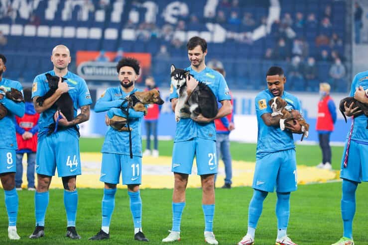 La fantastica iniziativa dei calciatori per far adottare i cuccioli (Foto Twitter)