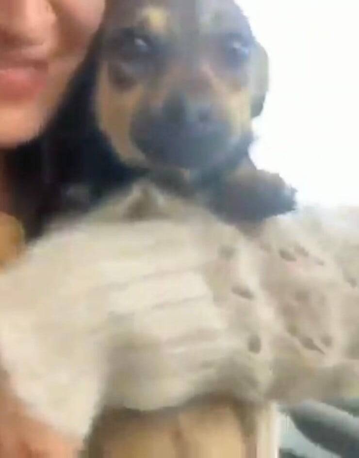 Georgiana insieme a Paula (Screen video)