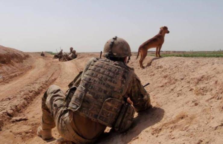 I due amici in Afghanistan