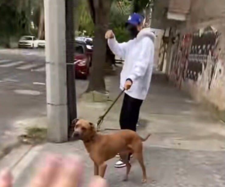 Il momento dei saluti (Screen video)