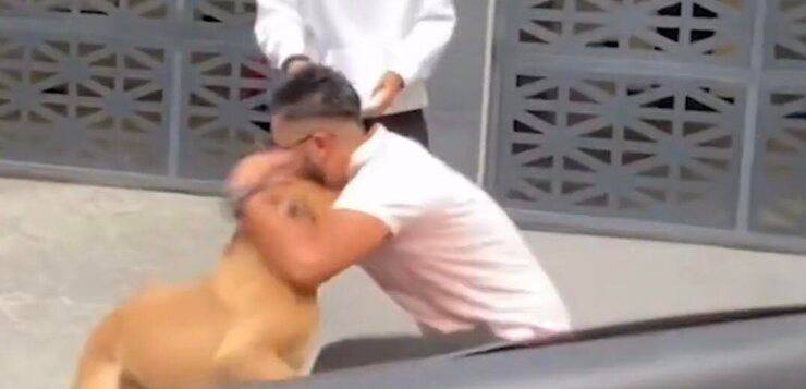Incontra per caso il suo cane smarrito da sei anni (Screen Video)