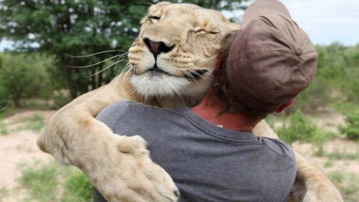 La leonessa ed il suo salvatore