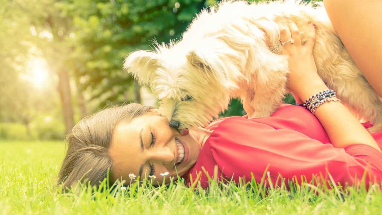 Cane e compagna umana in un tenero abbraccio Le nostre scelte influenzano il comportamento del cane?