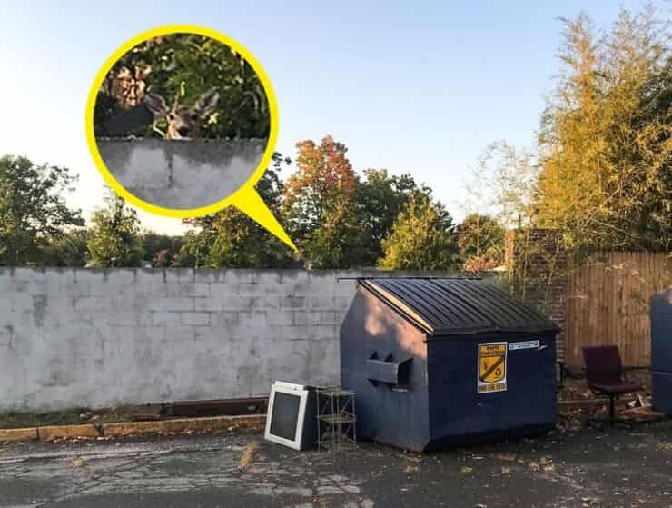 Soluzione del test visivo dei 10 secondi 