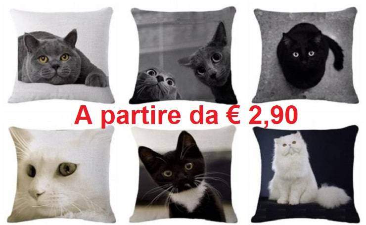 federe cuscini gatti