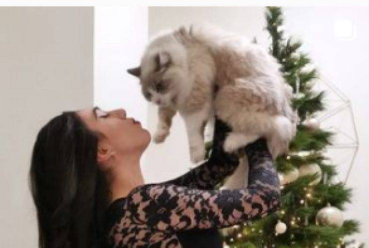 La padrona e il gatto (Foto Instagram)